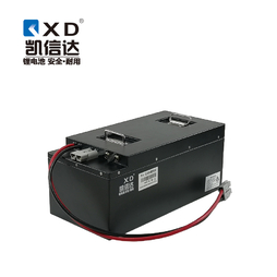 AGV RGV自动搬运小车锂电池智能机器人电池48V90AH磷酸铁锂电池组