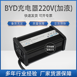 环信：高频智能式A.M.06.1215J BYD充电器(220V) 12V 15A(加液)