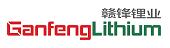 江西赣锋锂电科技有限公司 江西赣锋锂电科技有限公司