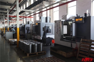 皖南新维（207站）