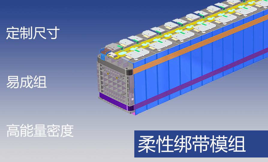 柔性绑带  模组