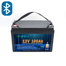 工业储能电池VG12100F-C