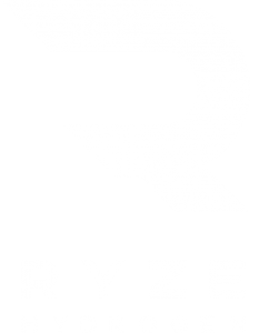 英国Ryze Hydrogen公司