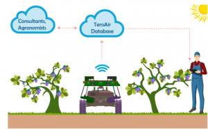 pekauto  TeroAir 应用程序