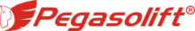 土耳其​Pegasolift公司