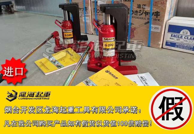 鹰牌G系列千斤顶进口大图.jpg