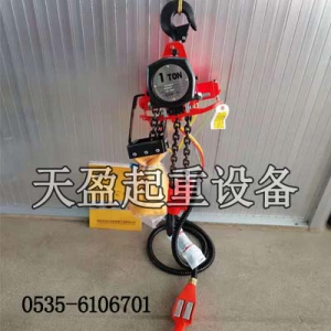 VLX型SAN-E环链气动葫芦价格,环链气动葫芦天盈起重