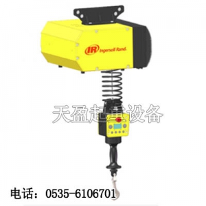 智能电动葫芦原装进口,EIW132120智能电动葫芦现货