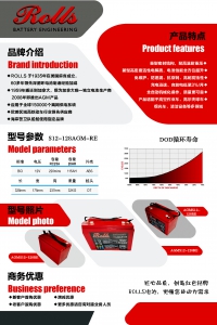 叉车Rolls蓄电池火炬 明泰 帅马蓄电池丰江蓄电池销售