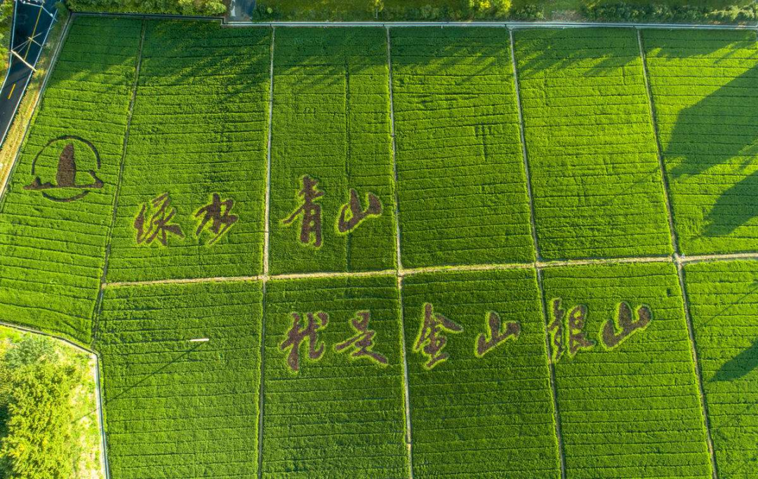 天能与绿源战略合作再谱新篇 共促行业绿色低碳发展
