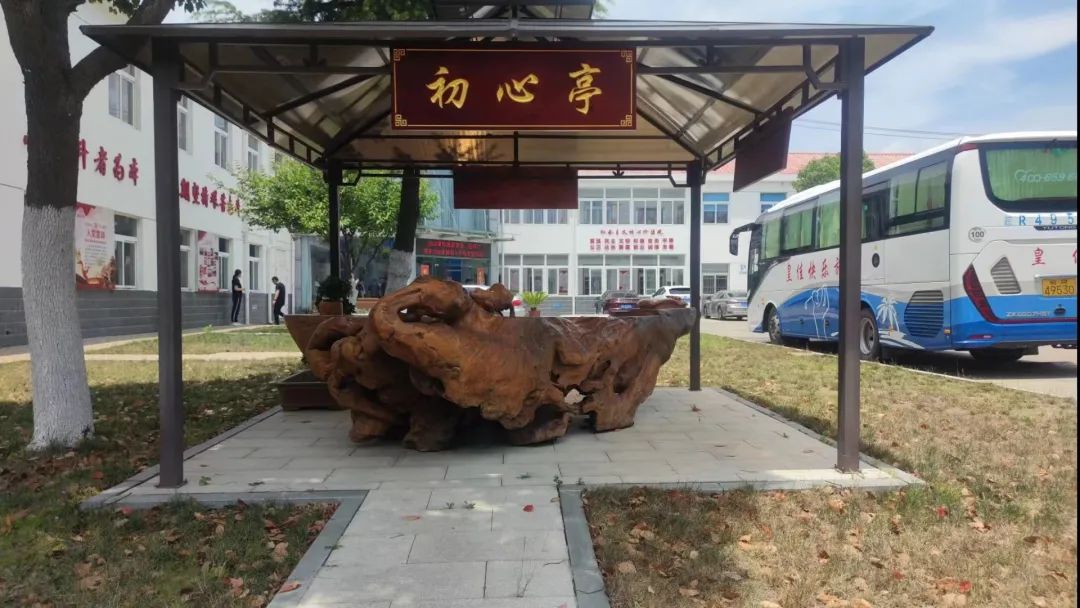 合肥环信：环心颂党恩，信心谋发展
