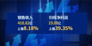 一文读懂天能股份2022年年报：营收再创新高，储能正加速跑