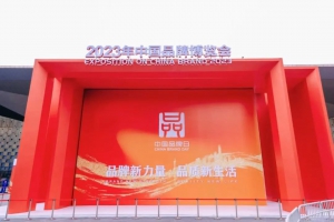 柳工自强不息 打造世界一流品牌