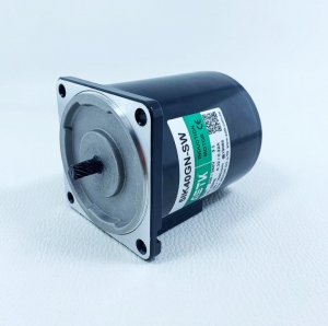 5IK40GN-SW 5GN10K三相电机40W当天发