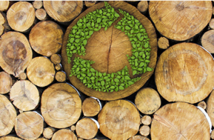 制造业的下一次革命：可持续材料