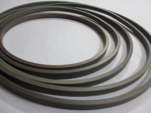 hallite品牌T730和T754型耐磨四氟密封圈