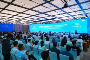 全球新能源500强，天能位列21