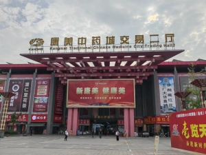 宝骊叉车满电出击2023国际中医药博览会