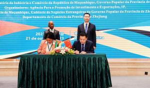 天能与莫桑比克签署战略合作备忘录，共同推动新能源产业发展