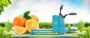 “橙”意交付，宝骊电车托起赣南脐橙好丰景