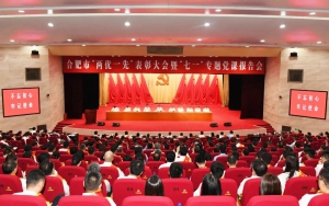 荣誉 | 优旦科技彭勇俊获评合肥市优秀共产党员