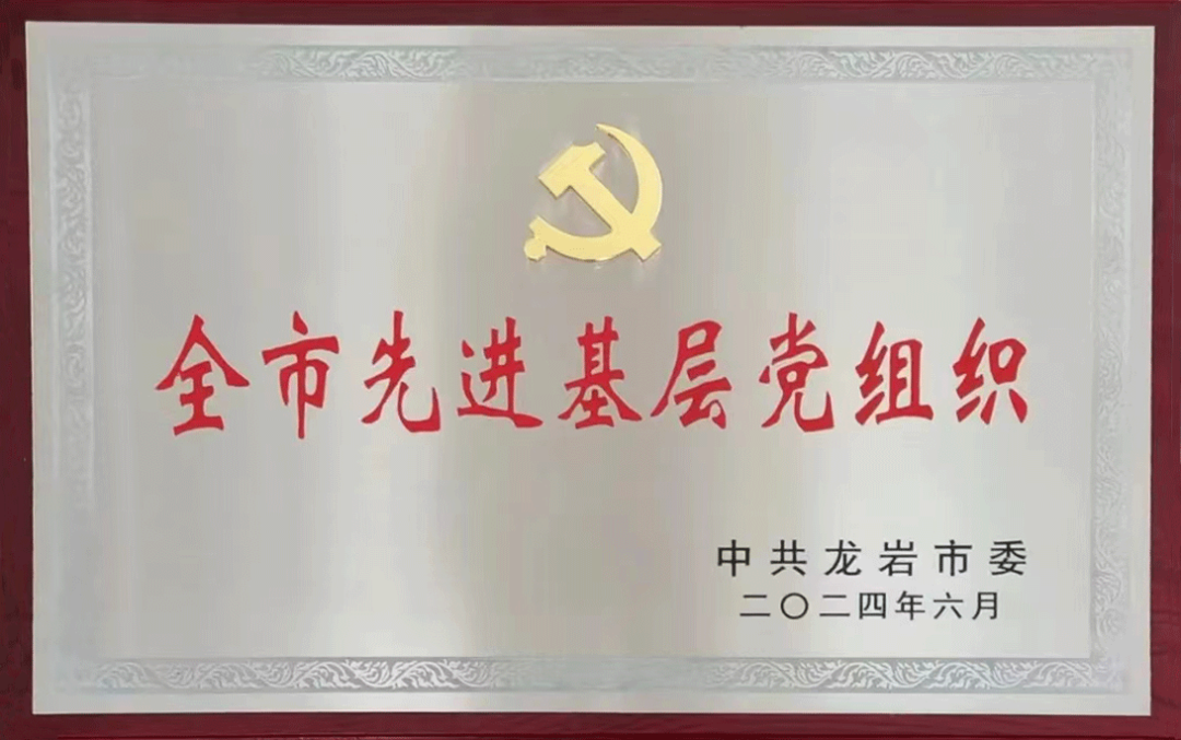 【喜报】龙合智能党支部荣获“全市先进基层党组织”
