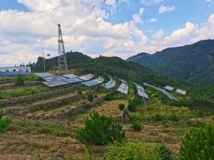 板上发电、板下种植，天能首个“农光互补”配储项目开工