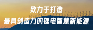 赣锋锂电携手YIGIT AKU，共绘海外锂电新篇章