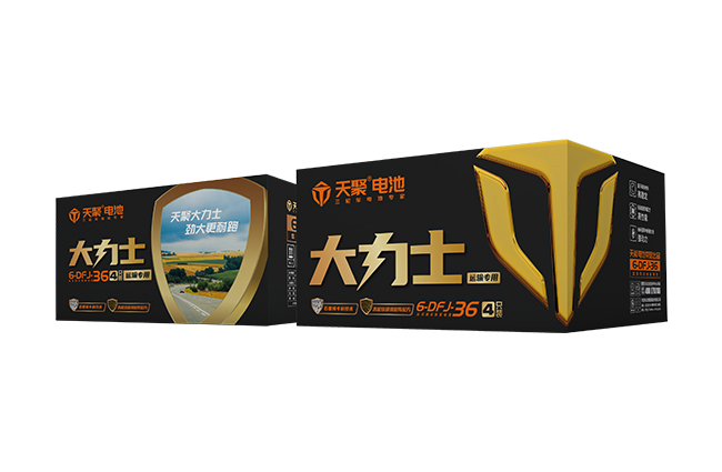 天能 天聚大力士系列