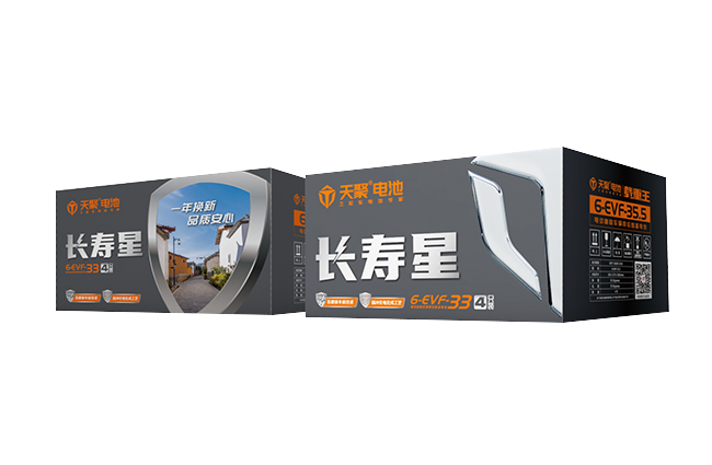 天能 天聚长寿星系列