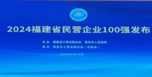 龙合智能荣登“2024福建省创新型民营企业100强”榜单