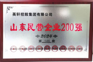 喜报 | 英轩控股集团有限公司荣登“2024山东民营企业200强”榜单