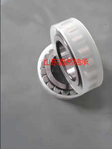 供应满装圆柱滚子轴承RSL182206规格30*62*20