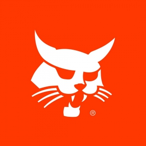 这些山猫，你认识吗？