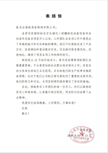 【喜报】感恩同行，共创未来 | 龙合智能专业服务获裕龙石化高度赞誉