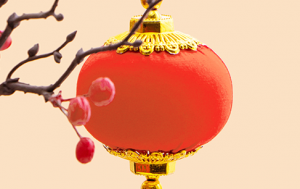 蛇年初三，生机盎然