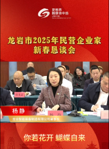 龙合智能杨静董事长受邀参加2025年全市民营企业家新春恳谈会
