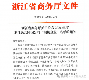 喜讯 | 东华三度“领航”浙江本土民营跨国公司，展现全球化“韧实力”