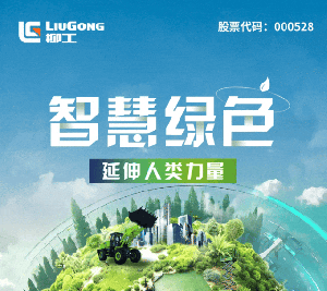 智慧·绿色 | 一图解锁柳工2024年年度报告
