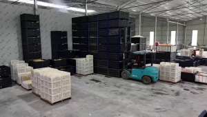 “柠”聚巴蜀，宝骊解锁四川柠檬基地高效密码