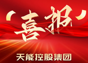 天能获评全国先进！