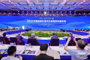 115.20亿元！叉车集团品牌价值再突破！