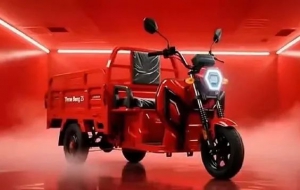 Three Beng 爆火丨山猫“同款”来啦！