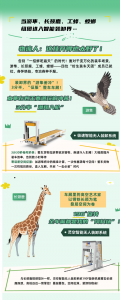 【智造龙合】给智能装卸加个BUFF！揭秘物流界的动物特工队！