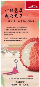 一日色变成历史？这叉车，让荔枝无损通关！