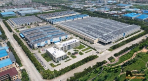 专注链条三十载，提升行业新高度——中叉网走进东华链条板式链事业部