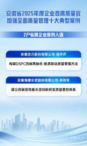 数质引领 合力创造：合力入选全省质量管理十大典型案例！