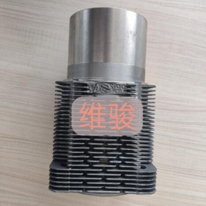 原装DEUTZ道依茨914发动机配件 04231513缸套04238724通用 四配套