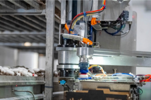 4AG Robotics获4000万加元B轮融资 加速蘑菇收割机器人商业化