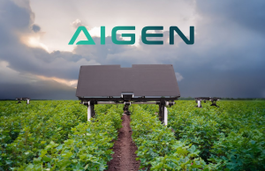 无需农药的太阳能机器人曝 “击杀杂草” 现实